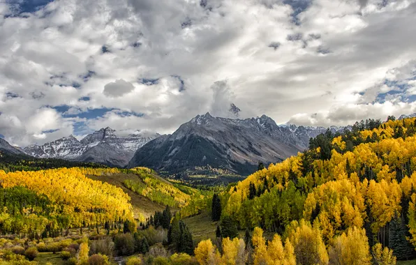 Картинка осень, лес, облака, горы, Колорадо, Colorado