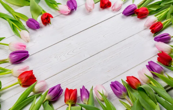 Цветы, colorful, тюльпаны, red, white, wood, flowers, tulips