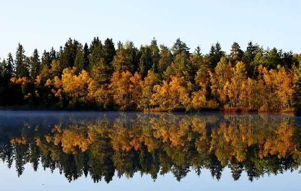 Картинка лес, отражения, деревья, озеро, Осень, сентябрь