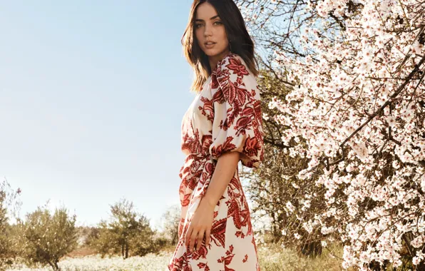 Взгляд, актриса, шатенка, красотка, цветущее дерево, ana de armas, ана де армас
