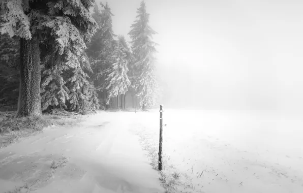 Картинка зима, дорога, снег, туман