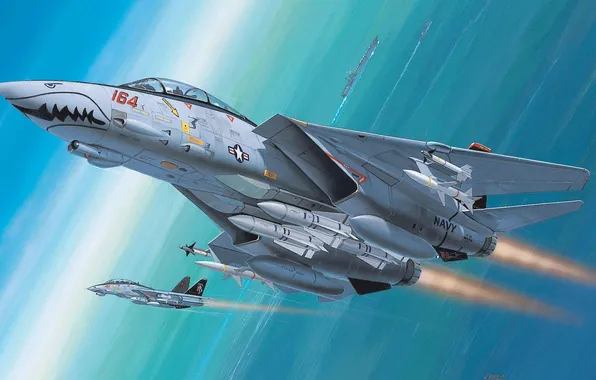 Картинка ракеты, подъём, Grumman, истребитель-перехватчик, Tomcat, F-14, ВМС США, АВИАНИСЕЦ