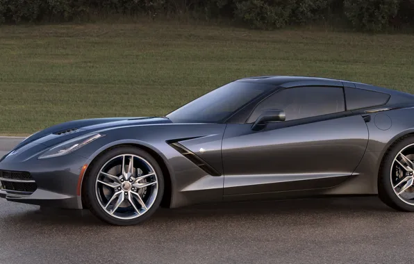 Металик, Corvette, 004
