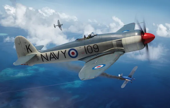 Истребитель, Палубный Истребитель, Hawker Sea Fury, Боевой самолёт, Поршневой самолет