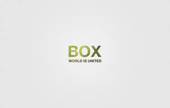 Текст, мир, шум, box