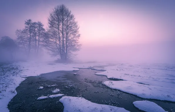 Картинка зима, снег, деревья, туман, ручей, рассвет, утро, речка