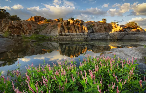 Облака, цветы, озеро, отражение, скалы, Аризона, США, Arizona