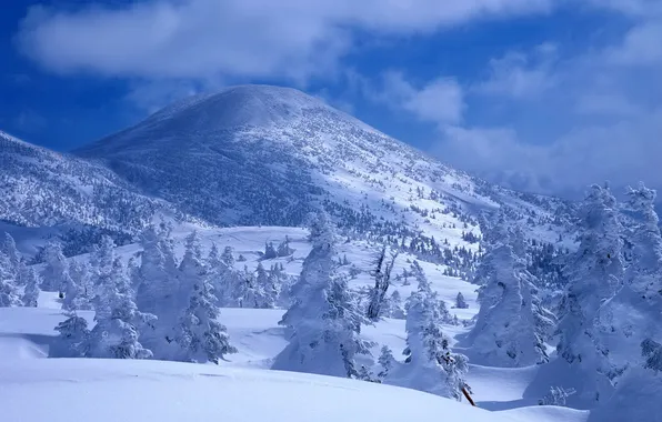Картинка зима, небо, облака, снег, деревья, горы, склон