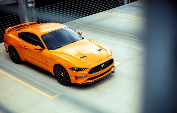 Картинка Ford, 2018, Mustang GT, Fastback Sports