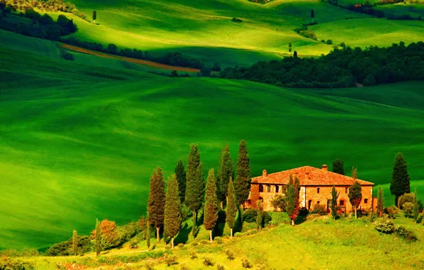 Поле, деревья, дом, холмы, Италия, Тоскана