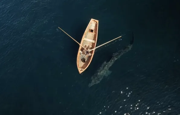 Море, лодка, акула, рыбак, сверху, весла, Basking Shark underneath boat off the coast of Ire, …