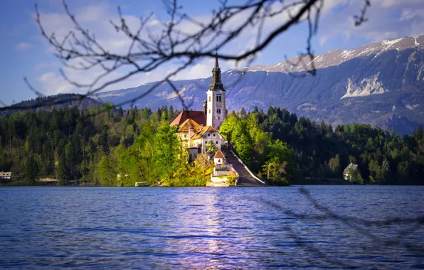 Горы, озеро, остров, церковь, Словения, Lake Bled, Slovenia, Бледское озеро