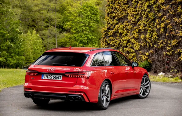 Красный, Audi, растительность, сзади, универсал, 2019, A6 Avant, S6 Avant