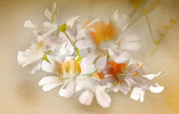 Картинка цветы, фон, текстура