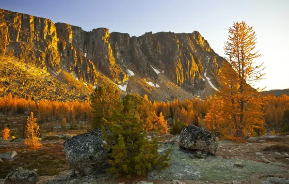 Осень, деревья, горы, камни, США, North Cascades National Park