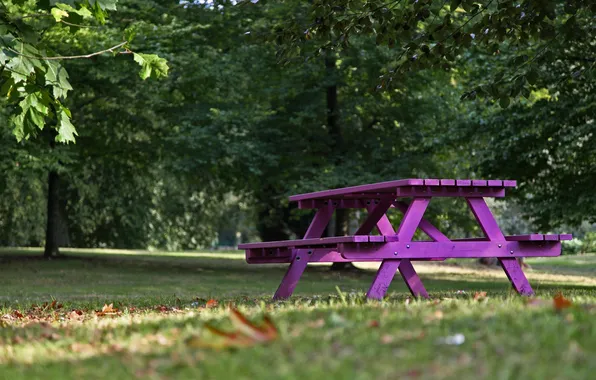 Макро, скамейка, природа, фиолетовая