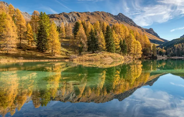 Картинка Palpuogna, Grisons, Bergün Filisur