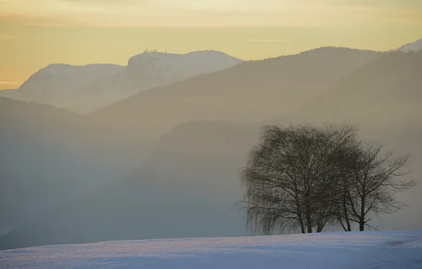 Картинка зима, лес, снег, деревья, горы, туман, утро