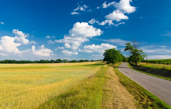 Картинка дорога, поле, лето, небо, трава, облака, деревья, забор