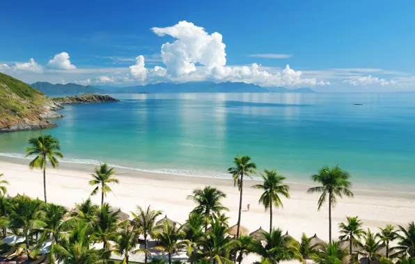 Summer, beach, sea, sand, paradise, tropical, palm