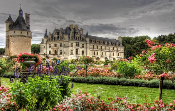 Цветы, парк, замок, Франция, башня, сад, архитектура, France