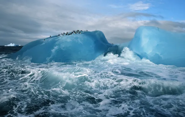 Blue, water, Ice, cold, arctic