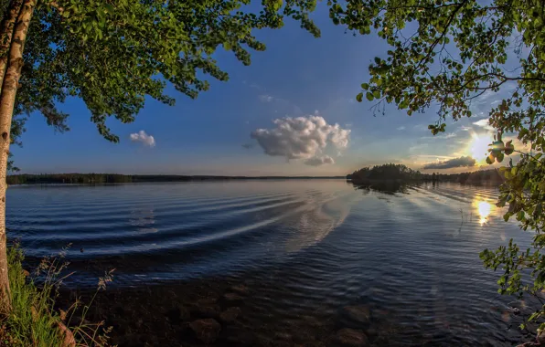Волны, деревья, озеро, рассвет, утро, Финляндия, Finland, Озеро Кариярви