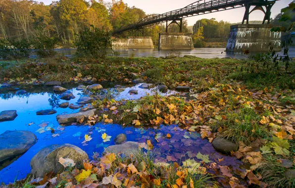 Осень, небо, листья, деревья, мост, река, камни, опора