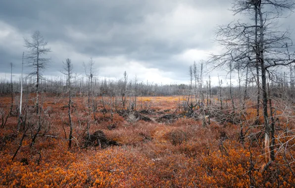 Canada, Quebec, parc national de l'archipel de Mingan