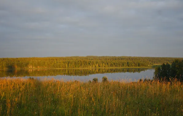 Картинка лес, небо, трава, облака, деревья, пейзаж, река, фон