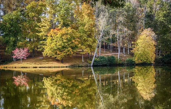 Осень, парк, река, USA, Autumn, Lanier Martinsville Virginia