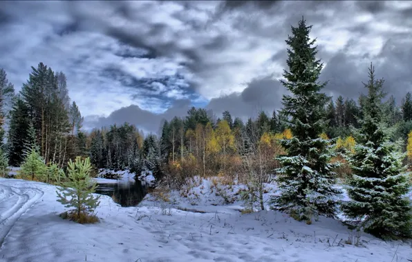 Картинка лес, снег, деревья, река, Зима