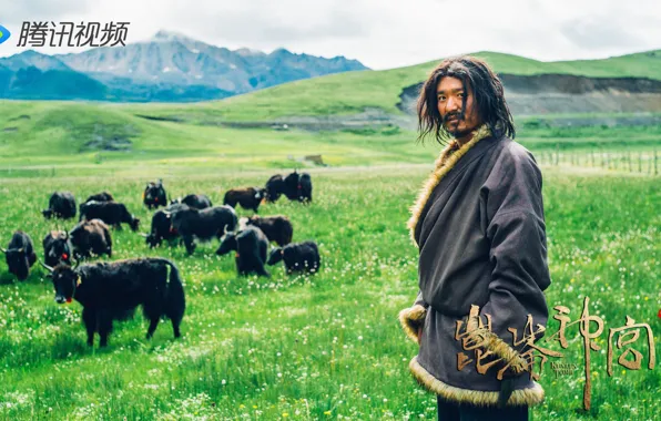 Movie, china, tibet
