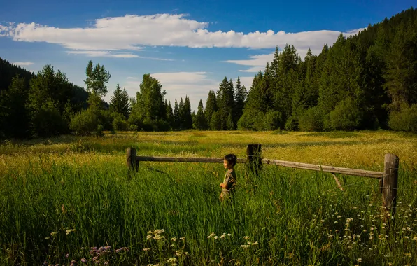 Лес, трава, пейзаж, мальчик, луг