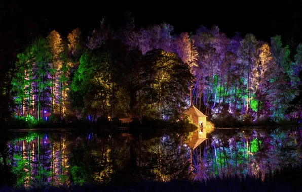 Картинка лес, деревья, ночь, огни, парк, домик