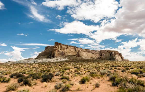 Rock, sky, cloud, mountain, sand, usa, utah, bush