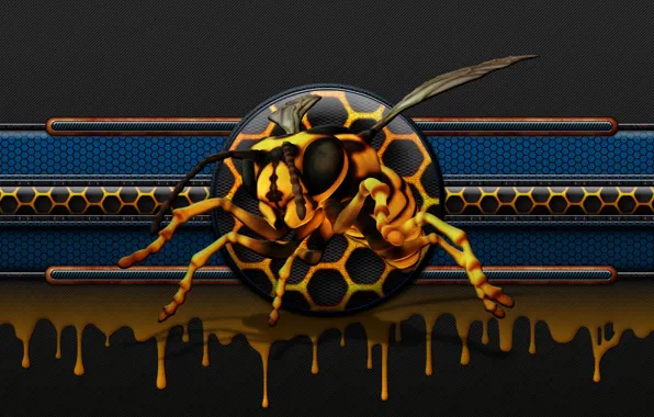 Пчела, соты, honey, мёд, glow, bee, drip