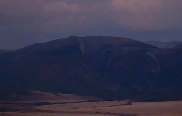 Картинка луна, Алтай, курайская степь, Надежда Демкина