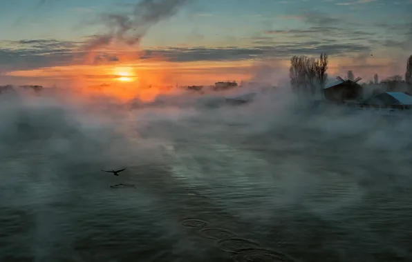 Картинка солнце, туман, утро, Река