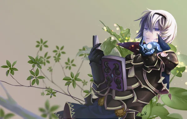 Магия, книга, рыцарь, Fire Emblem