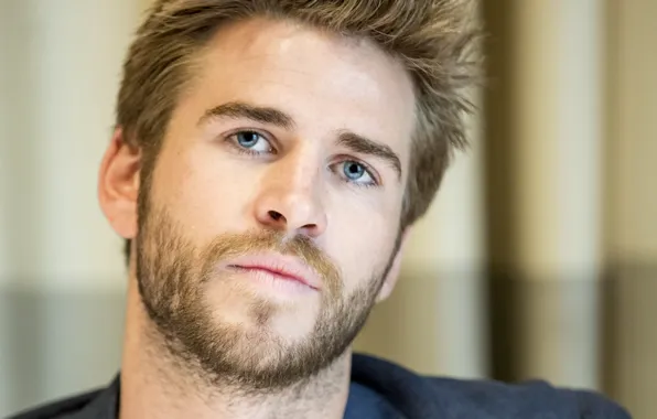 Обои Лиам Хемсворт, Liam Hemsworth, На Пресс-Конференции Фильма.