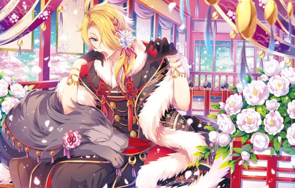 Цветы, аниме, арт, парень, Touken ranbu