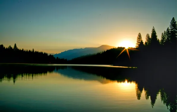 Картинка лес, природа, отражение, рассвет, утро, горное озеро, morning at Hume Lake