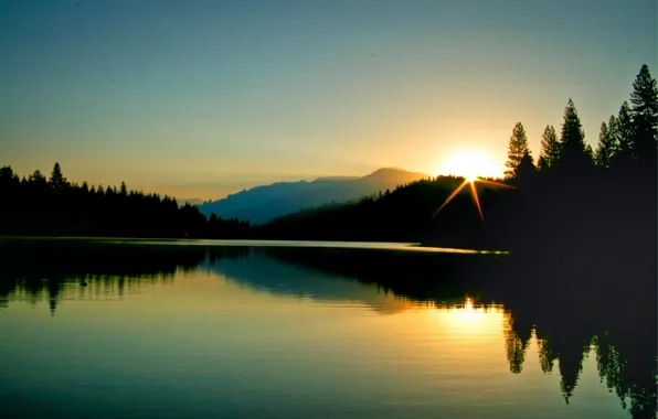Лес, природа, отражение, рассвет, утро, горное озеро, morning at Hume Lake