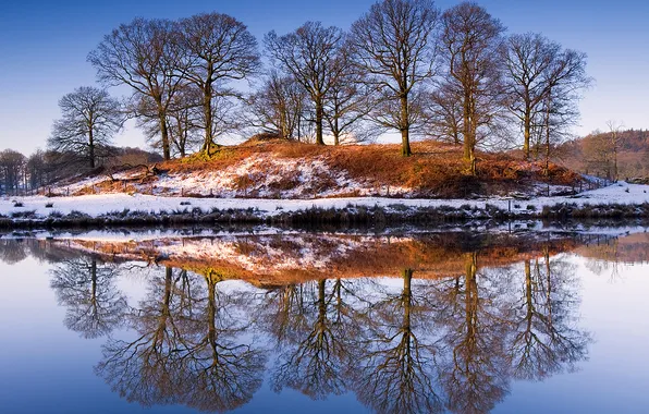 Картинка зима, снег, деревья, отражение, река, берег, Природа