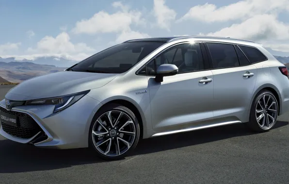 Машина, небо, Toyota, сбоку, Hybrid, Sports, колёса, универсал