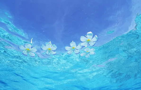 Картинка волны, капли, цветы, арт, waves, art, flowers, drops