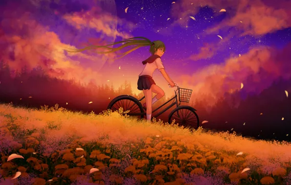 Картинка небо, девушка, облака, закат, цветы, велосипед, луна, аниме
