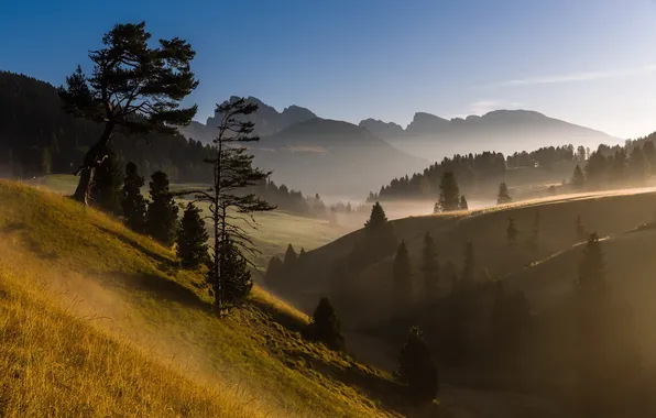 Пейзаж, горы, природа, туман