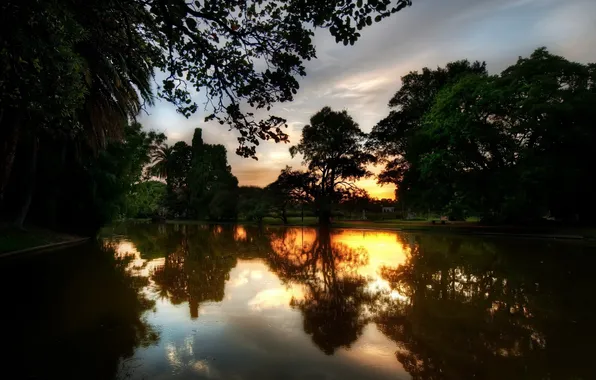 Картинка деревья, закат, озеро, парк, отражение, вечер, водоём